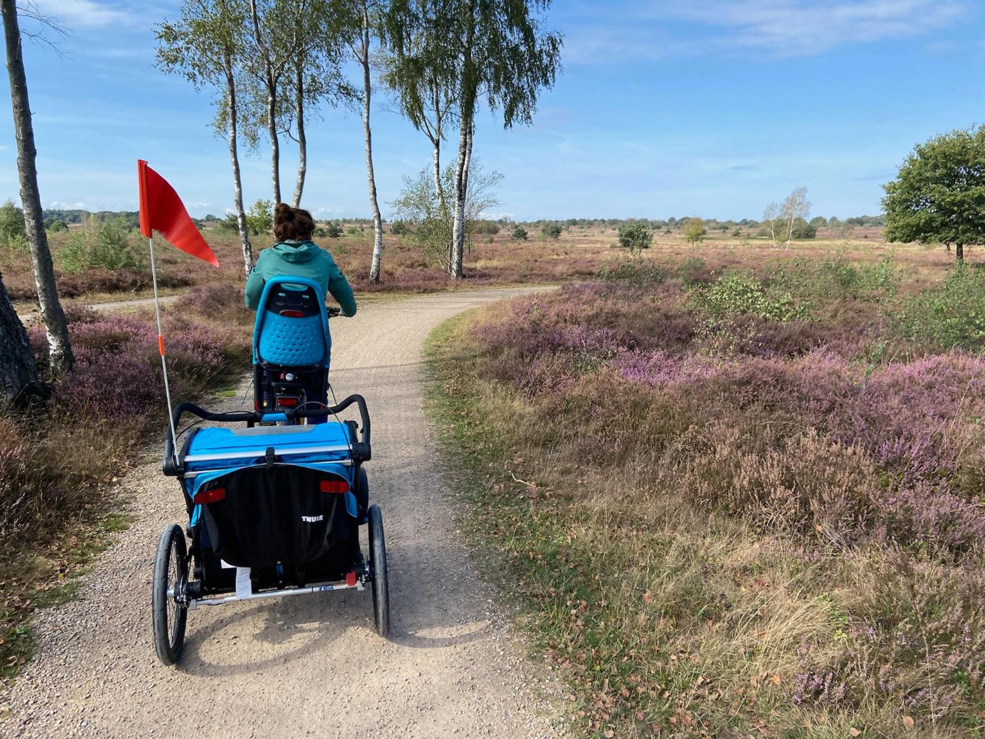 Vakantiehuis Vliegend Hert Veluwe Nunspeet Exteriör bild
